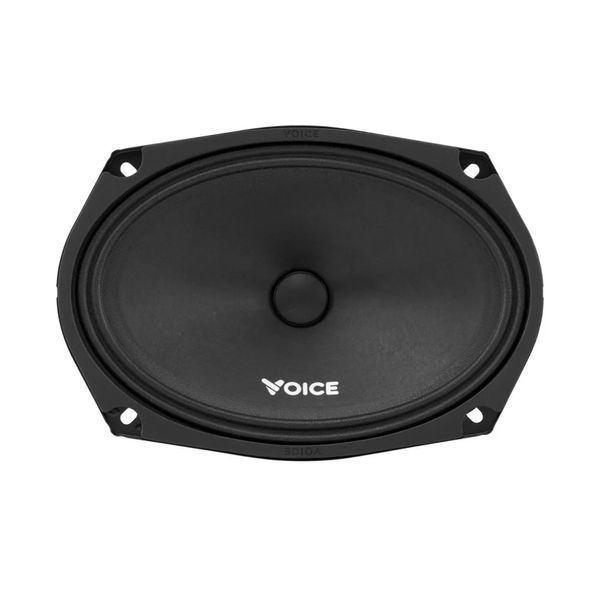 Эстрадная акустика Voice ST-69 124101 фото