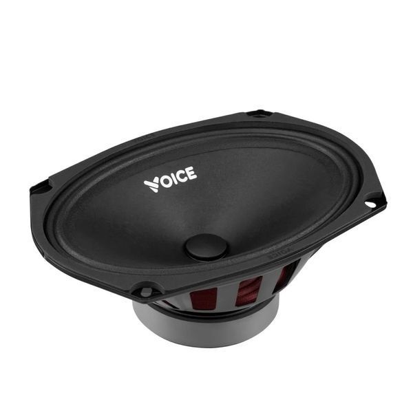 Эстрадная акустика Voice ST-69 124101 фото