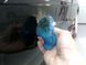Синя глина Blue Clay Bar для очищення кузова автомобіля 100g 59588 фото 6