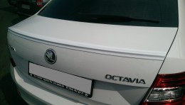    Skoda Octavia A7 2013- AutoPlast