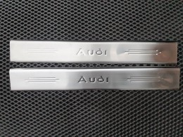 Накладки на пороги Audi ТТ 1999-2015 (2 шт., нерж.) Carmos